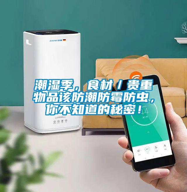 潮濕季，食材／貴重物品該防潮防霉防蟲，你不知道的秘密！