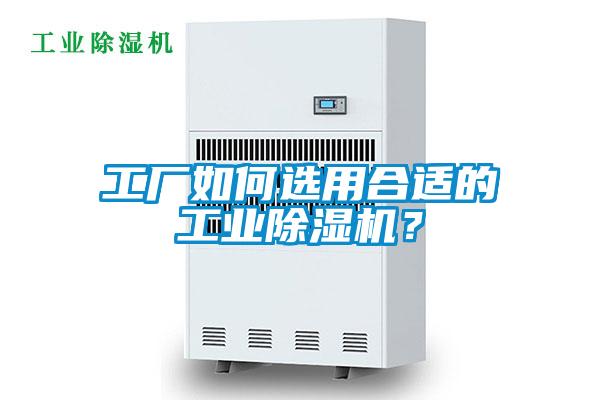工廠如何選用合適的工業除濕機？