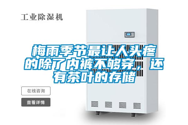 梅雨季節最讓人頭疼的除了內褲不夠穿，還有茶葉的存儲