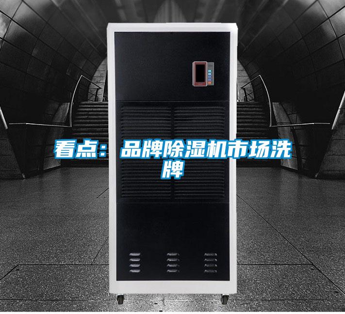 看點：品牌除濕機市場洗牌
