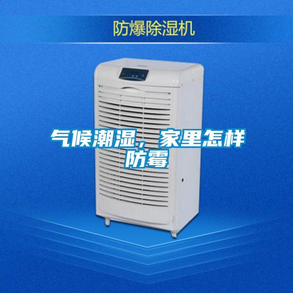 氣候潮濕，家里怎樣防霉