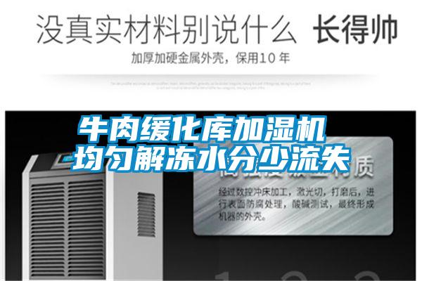 牛肉緩化庫(kù)加濕機(jī) 均勻解凍水分少流失