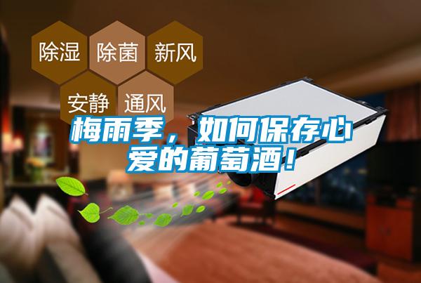 梅雨季，如何保存心愛的葡萄酒！