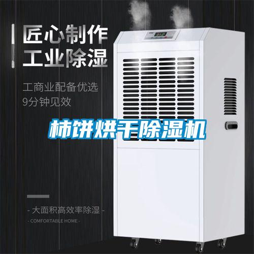 柿餅烘干除濕機