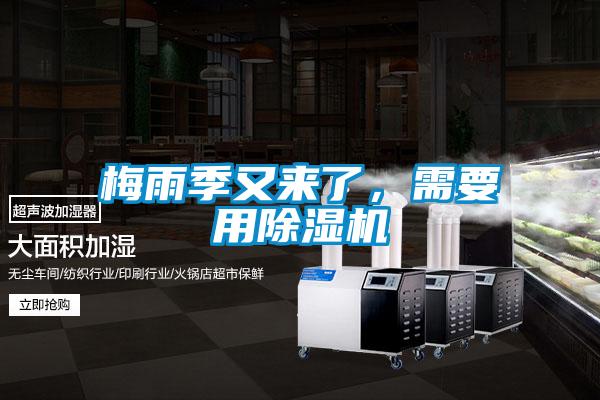 梅雨季又來了，需要用除濕機