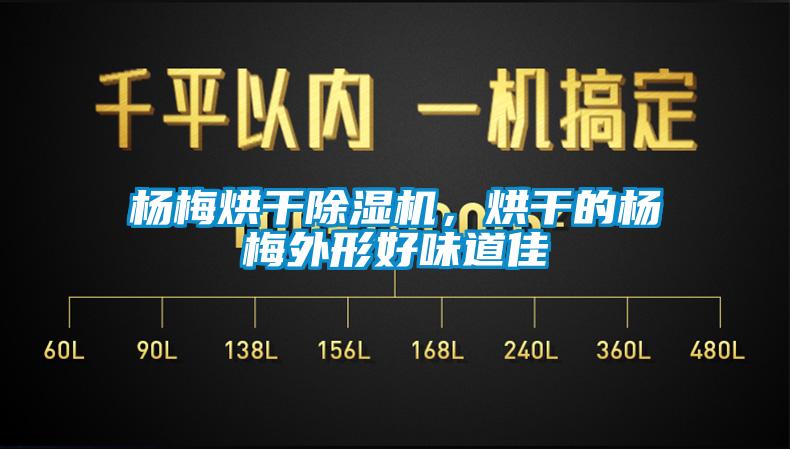 楊梅烘干除濕機,烘干的楊梅外形好味道佳