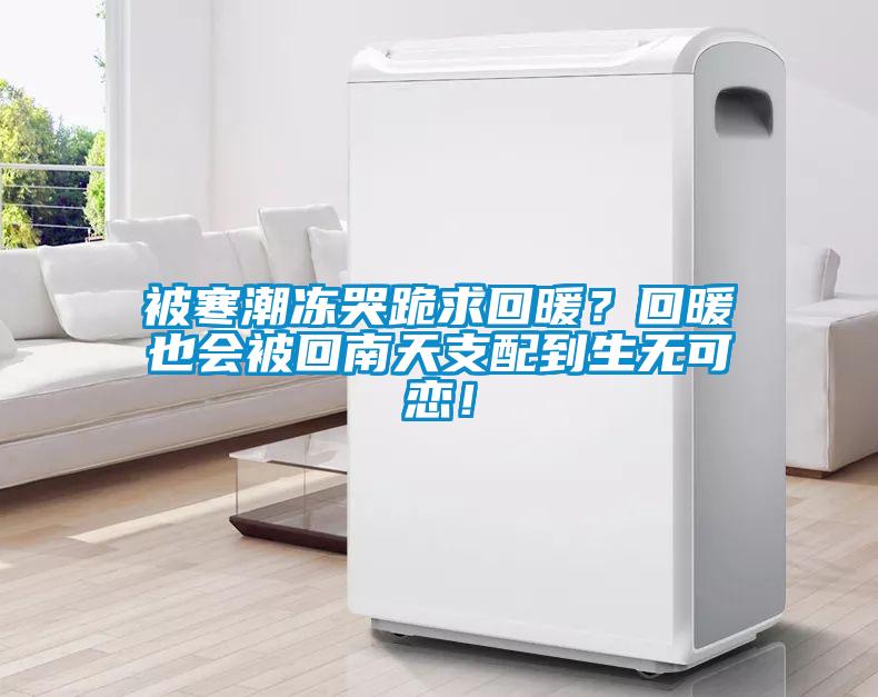 被寒潮凍哭跪求回暖？回暖也會被回南天支配到生無可戀！