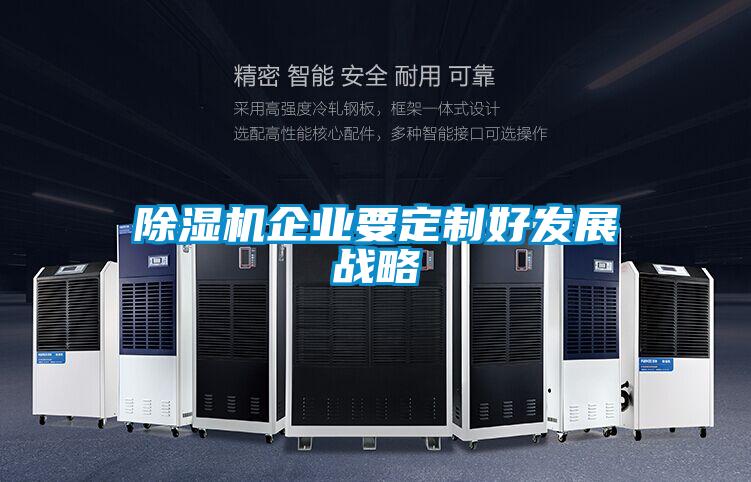 除濕機企業要定制好發展戰略