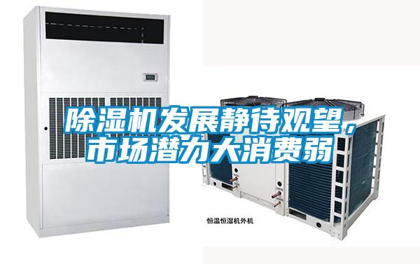除濕機發展靜待觀望,市場潛力大消費弱