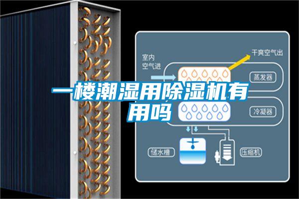 一樓潮濕用除濕機(jī)有用嗎