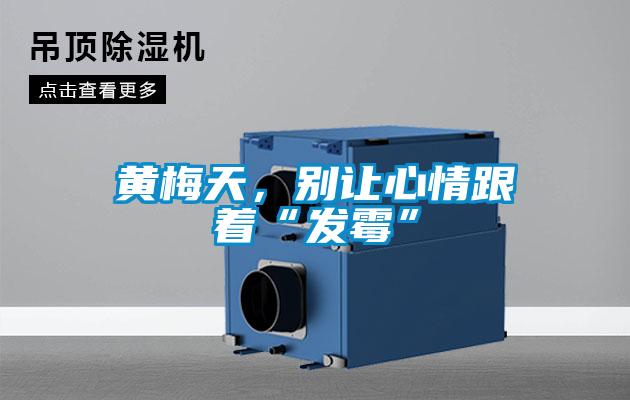 黃梅天，別讓心情跟著“發霉”