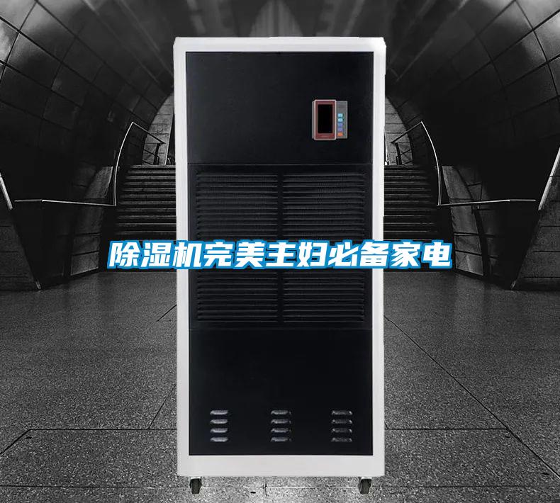 除濕機(jī)完美主婦必備家電
