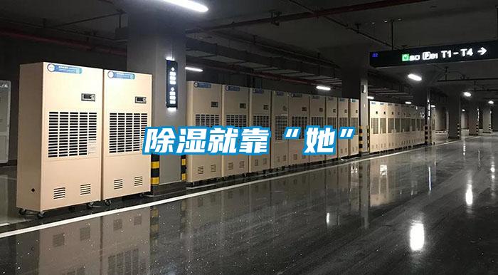 除濕就靠“她”