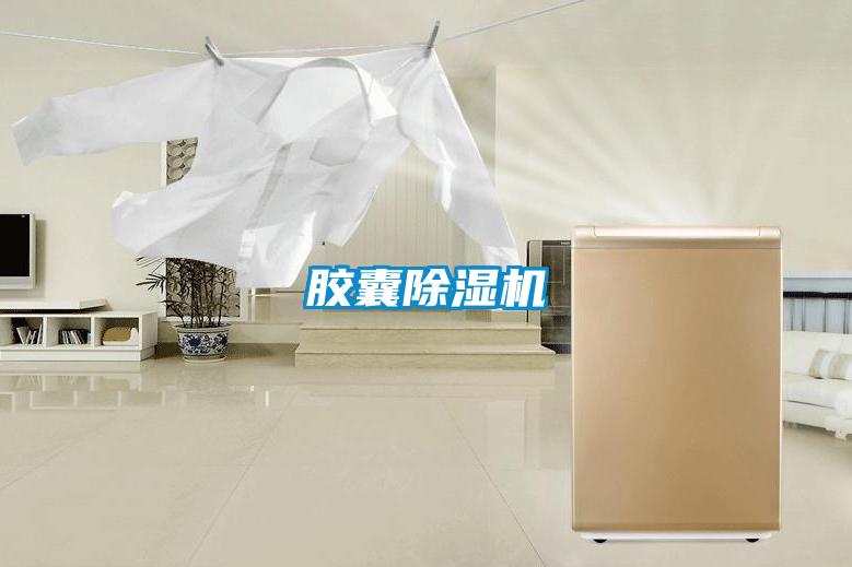 膠囊除濕機(jī)