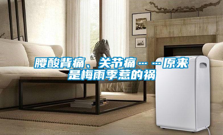 腰酸背痛、關節痛……原來是梅雨季惹的禍