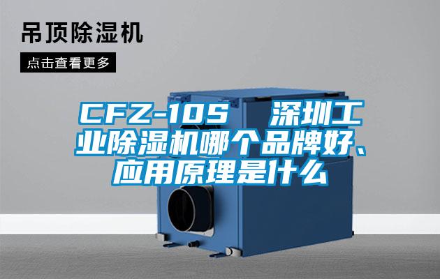 CFZ-10S 深圳工業(yè)除濕機(jī)哪個(gè)品牌好、應(yīng)用原理是什么