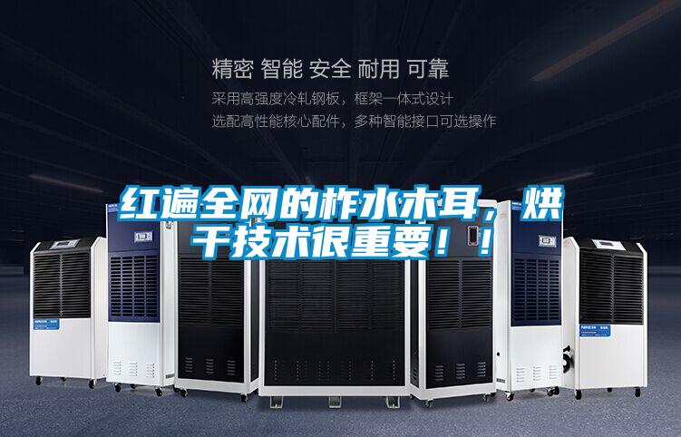 紅遍全網的柞水木耳，烘干技術很重要！！