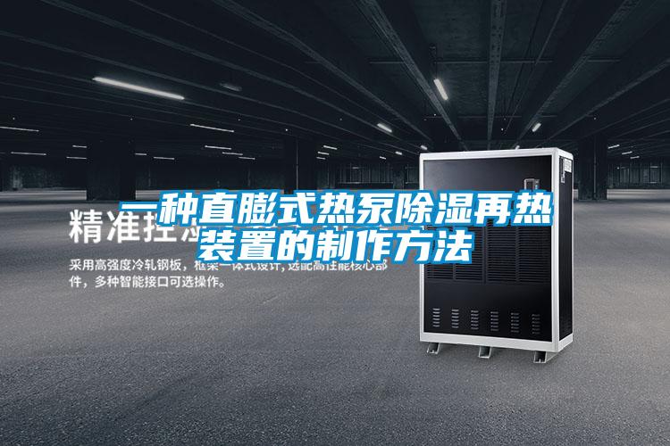 一種直膨式熱泵除濕再熱裝置的制作方法