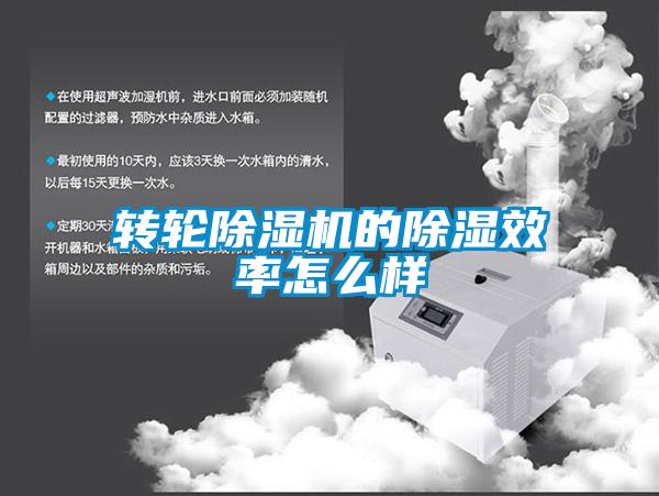 轉輪除濕機的除濕效率怎么樣