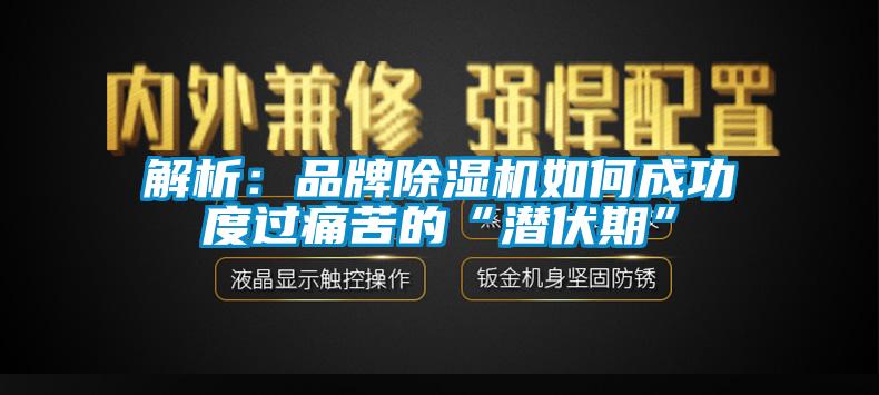 解析：品牌除濕機如何成功度過痛苦的“潛伏期”