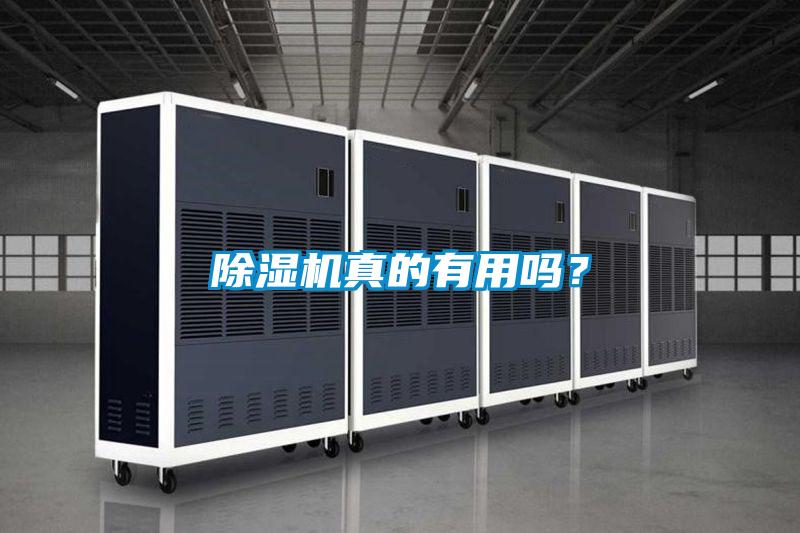 除濕機真的有用嗎？