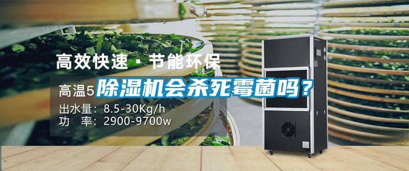 除濕機(jī)會(huì)殺死霉菌嗎？