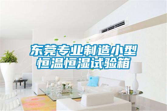 東莞專業制造小型恒溫恒濕試驗箱
