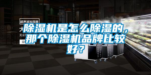 除濕機是怎么除濕的，那個除濕機品牌比較好？