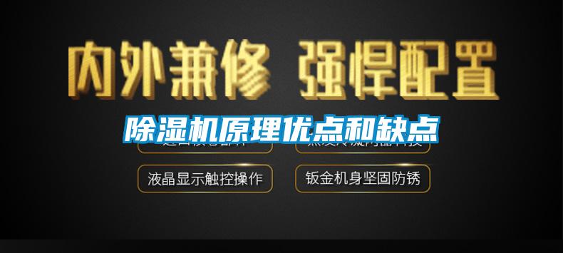 除濕機(jī)原理優(yōu)點(diǎn)和缺點(diǎn)