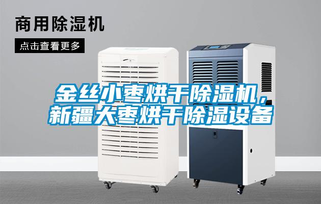 金絲小棗烘干除濕機(jī)，新疆大棗烘干除濕設(shè)備