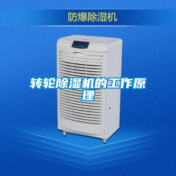 轉輪除濕機的工作原理
