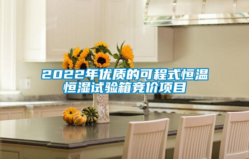 2022年優質的可程式恒溫恒濕試驗箱競價項目