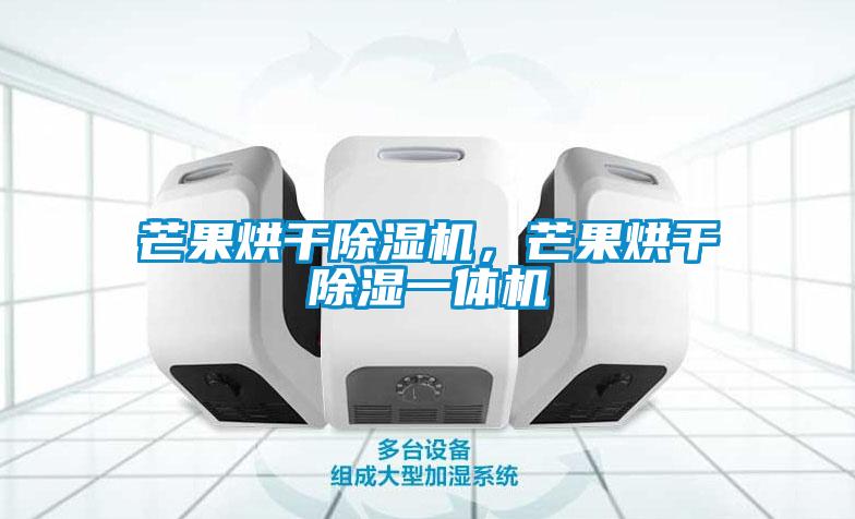 芒果烘干除濕機，芒果烘干除濕一體機