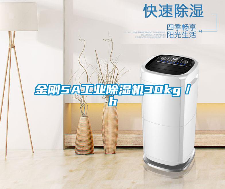 金剛5A工業除濕機30kg／h
