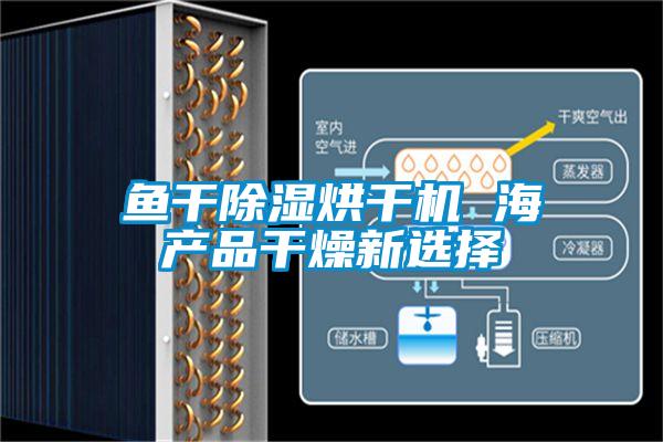 魚干除濕烘干機 海產(chǎn)品干燥新選擇