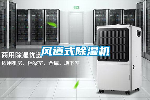 風道式除濕機