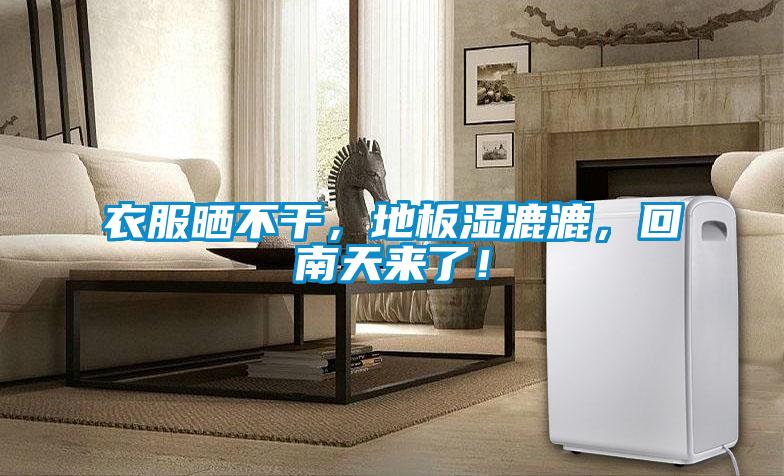 衣服曬不干,地板濕漉漉,回南天來了!