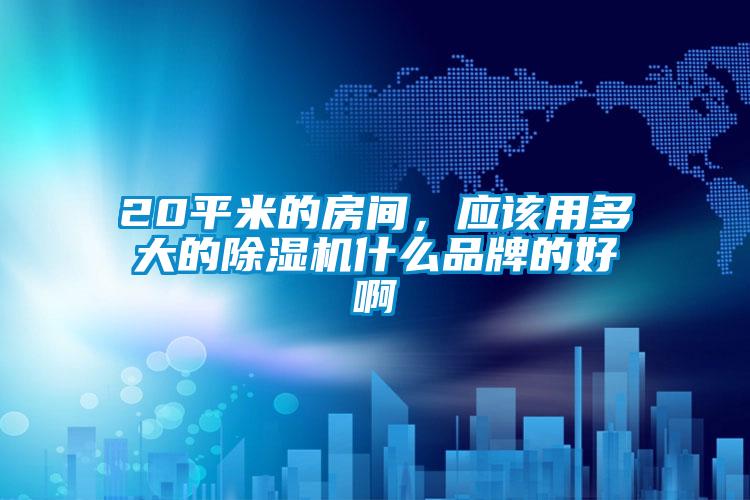 20平米的房間，應(yīng)該用多大的除濕機(jī)什么品牌的好啊