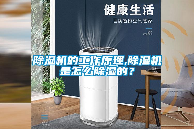除濕機的工作原理,除濕機是怎么除濕的？