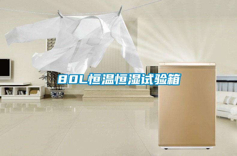 80L恒溫恒濕試驗(yàn)箱