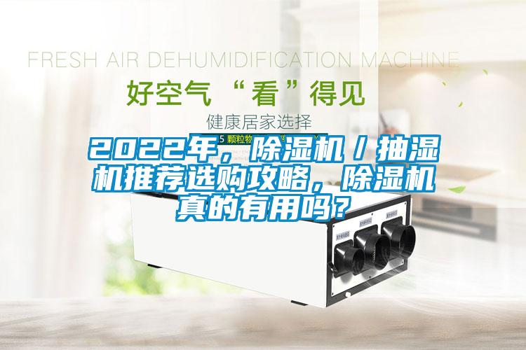 2022年，除濕機／抽濕機推薦選購攻略，除濕機真的有用嗎？