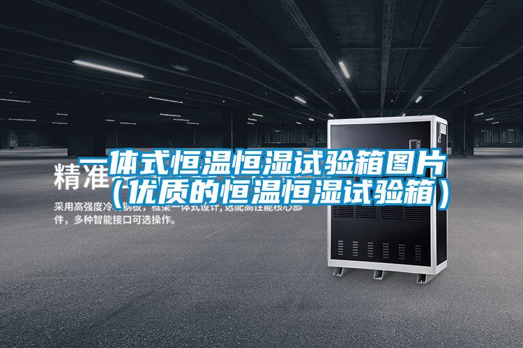 一體式恒溫恒濕試驗箱圖片（優質的恒溫恒濕試驗箱）