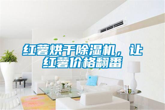 紅薯烘干除濕機,讓紅薯價格翻番