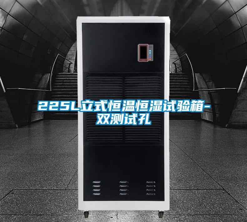 225L立式恒溫恒濕試驗箱-雙測試孔