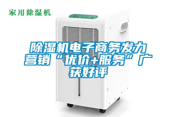 除濕機電子商務發(fā)力營銷“優(yōu)價+服務”廣獲好評