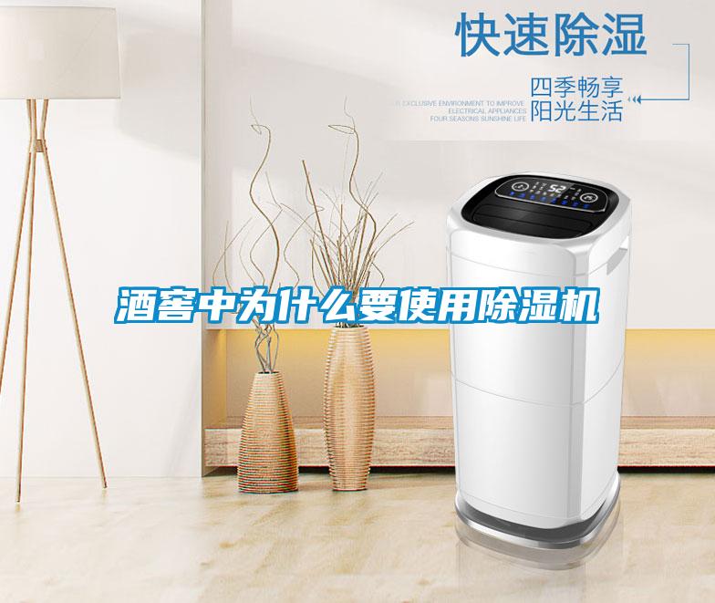 酒窖中為什么要使用除濕機