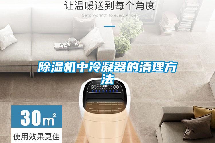 除濕機中冷凝器的清理方法
