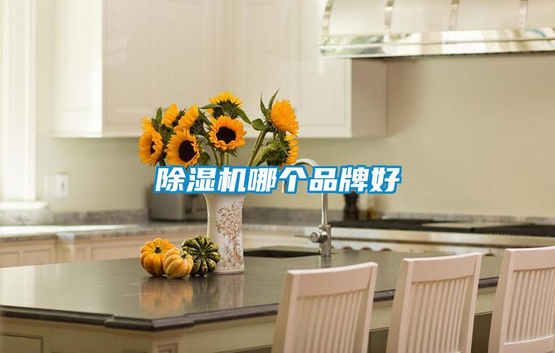 除濕機(jī)哪個(gè)品牌好
