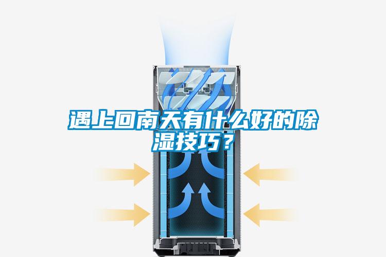 遇上回南天有什么好的除濕技巧？