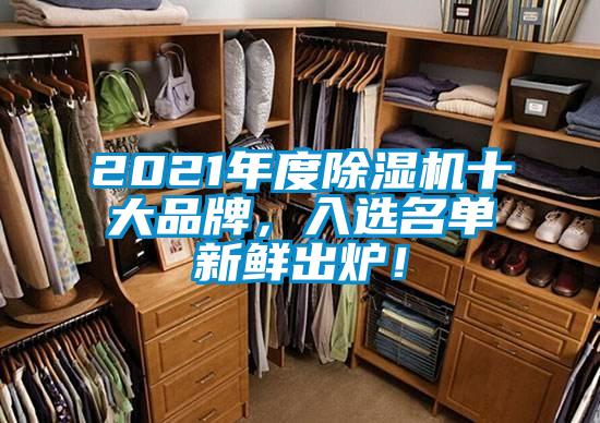 2021年度除濕機十大品牌，入選名單新鮮出爐！